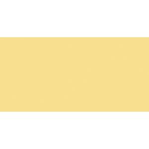 Coats All-Purpose Plastic Zipper 12