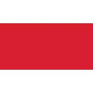 Coats All Purpose Plastic Zipper 20 Inch Atom Red