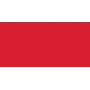 Coats Coil Separating Zipper 14 Inch Atom Red