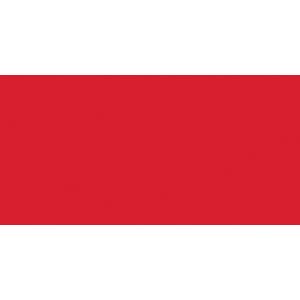 Coats Coil Separating Zipper 24 InchAtom Red