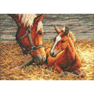Dimensions Gold Petite Counted Cross Stitch Kit 7 inch X5 inch Good Morning 18 Count