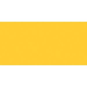 Jacquard Procion MX Dye 19g Golden Yellow