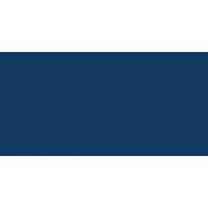 Jacquard Procion MX Dye 19g Cobalt Blue