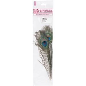 Peacock Eye Feathers 2 Per Pkg -Natural