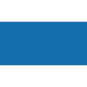 DecoColor Broad Glossy Oil-Based Paint Marker-Blue