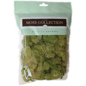 Quality Growers Preserved Reindeer Moss 108.5 Cubic Inches Spring Green
