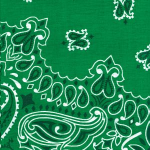 Hav-A-Hank Paisley Bandanna 22