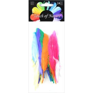 Duck Quill Feathers 24 Per Pkg -Bright Mix