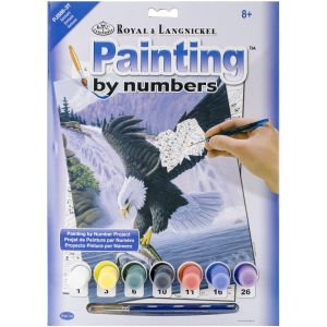 Junior Small Paint By Number Kit 8.75