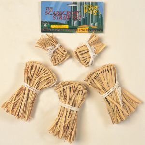 Wizard Of Oz Costume Scarecrow Straw Kit