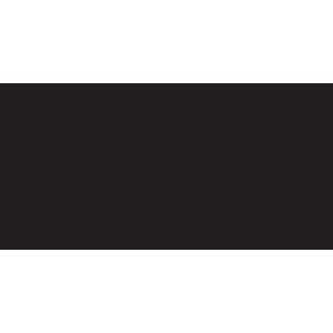 Photo Mat 8 inch X10 inch Double Hand Cut W Bevel Edge Black W White Core