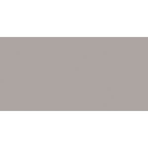 Testors Enamel Paint .25Oz Silver Flat