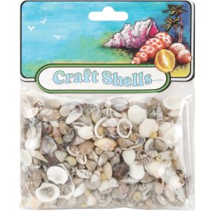 Craft Shells 150 Per Pkg -Natural