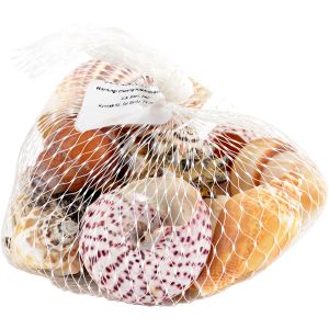 Sea Shells 8oz Natural