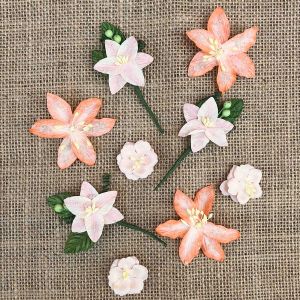 49 And Market Stargazers Paper Flowers 9 Per Pkg -Peach Sorbet