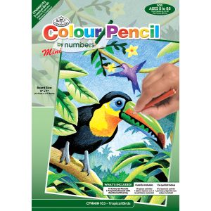 Mini Color Pencil By Number Kit 5 inch X7 inch Tropical Birds