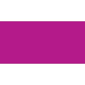 essentials(TM) Acrylic Paint 4oz-Magenta