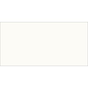 Washable Poster Paint 8oz White