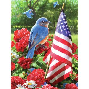 Junior Small Paint By Number Kit 8.75 inch X11.75 inch Patriotic Bluebird