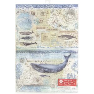 Stamperia Rice Paper Sheet A3 History Of Whale Arctic Antarctic