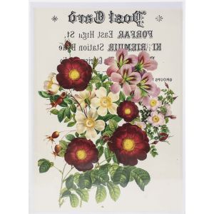 Dress My Craft Transfer Me Sheet A4-La Fleur