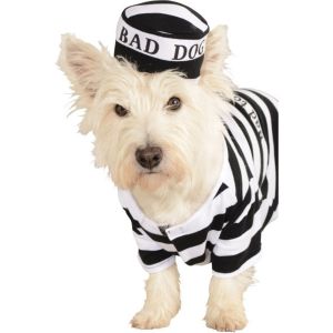 Rubies Pet Costume Medium Prisoner