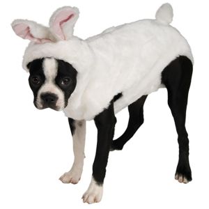 Bunny Pet Costume X Large