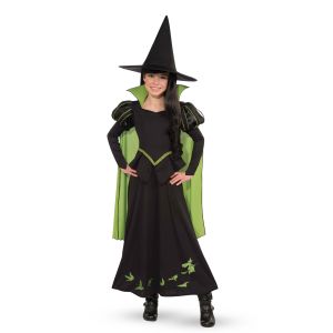 Wizard Of Oz Wicked Witch Of The West Costume Large One Color