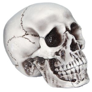 Shindigz Foam Skull Halloween Decoration