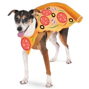 Pizza Slice Pet Suit X Large