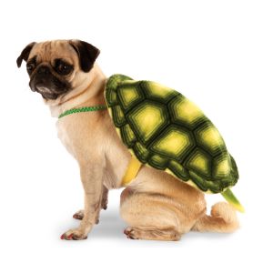 Turtle Shell Pet Backpack Large X Large