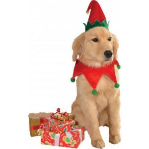 Rubies Christmas Pet Costume Small To Medium Elf Hat With Bell