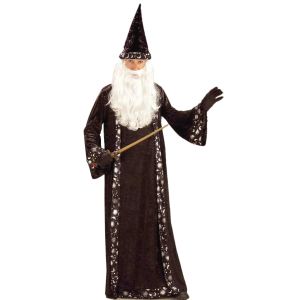Oh Mr. Wizard Adult Costume