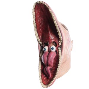 Rubies Womens Beetlejuice Martha Mask Multi Color One Size