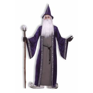 Mens Wizard Costume