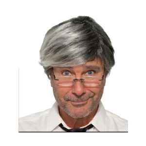 Forum Novelties Mens Wig Old Man Gray Party Supplies Standard