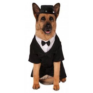 Rubies Big Dog Dapper Dog Costume ITEM 286620