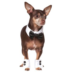 Rubies Pet Tuxedo Bowtie and Cuff Set Small Medium