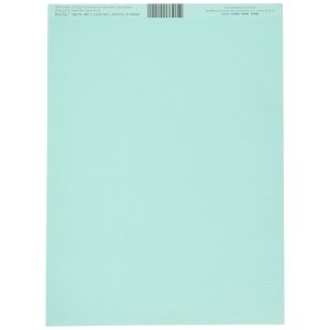 Bazzill Fourz Cardstock 12 X12 Inch -Patina/Grasscloth, 1 Pack of 1 Piece
