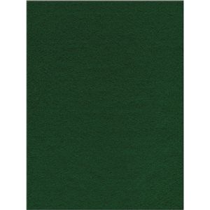 Presto Felt 9X12 inches Kelly Green