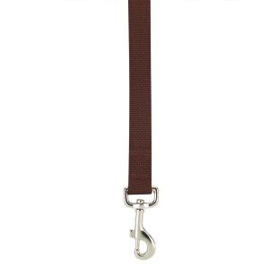 Casual Canine Nylon Leash Leads