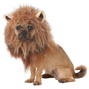 California Costumes King Of Jungle Dog Costume Item ID CCPET20166LG