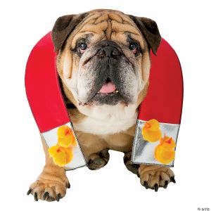Morris Chick Magnet Dog Costume