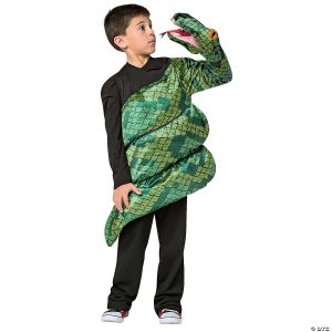 Morris Childs Anaconda Snake Costume