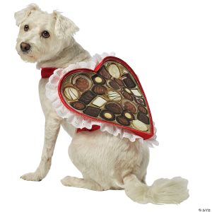 Morris Chocolate Box Pet Costume