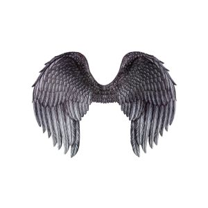 Dark Angel Wings Accessory