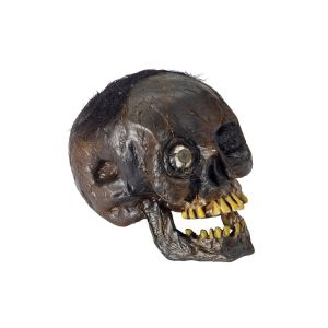 Forum Novelties Rotten Head Prop 1