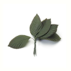 Large Rose Leaf Green 1 1 2 X 3 Inches