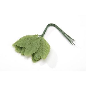 Tiny Rose Leaf Green 3 4 X 1 1 2 Inches
