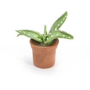 Timeless Minis Handmade Cactus Pot 0.75 X 0.75 Inches